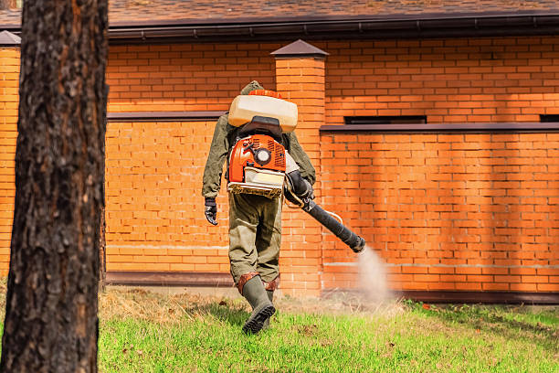 Trusted Ant Control service in Rio Rancho, NM - Nex Pest Control